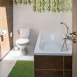 Penzion-apartmán Souček Jindřichův Hradec