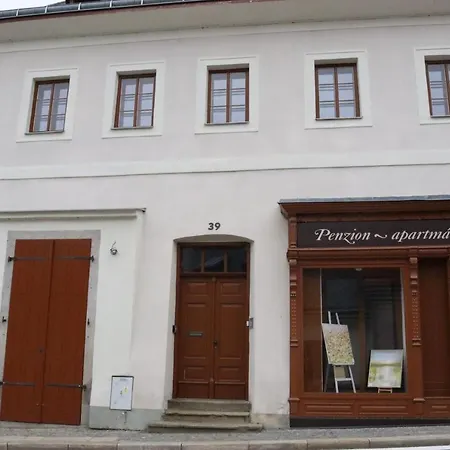 Guest house Penzion-apartman Soucek