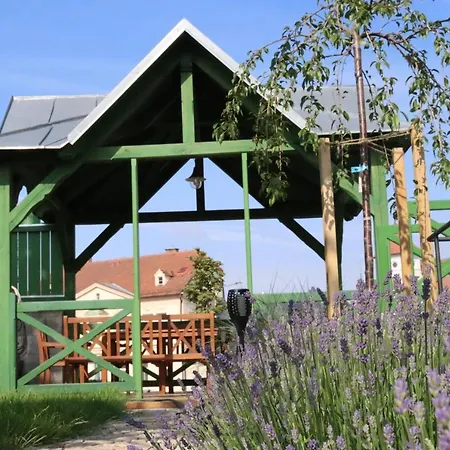 Penzion-apartman Soucek Guest house 4*