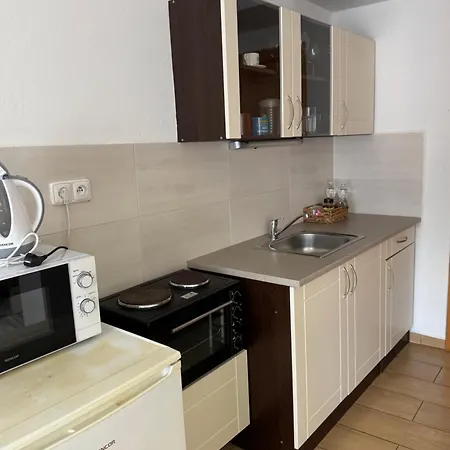 Guest house Penzion-apartman Soucek 4*