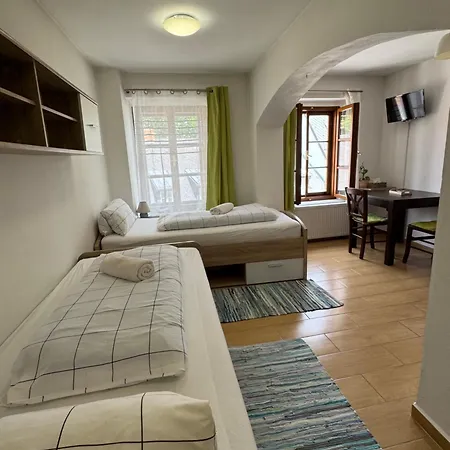Guest house Penzion-apartman Soucek 4*
