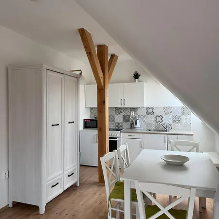 Guest house Penzion-apartman Soucek 4*