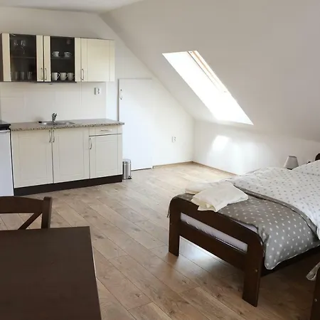 Guest house Penzion-apartman Soucek 4*