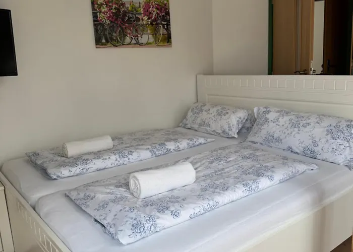 Penzion-apartman Soucek 4* 인드르지후프흐라데츠