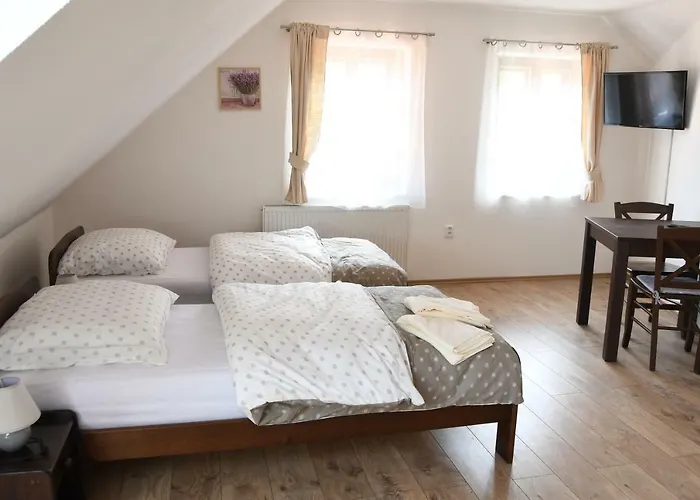 Penzion-apartman Soucek