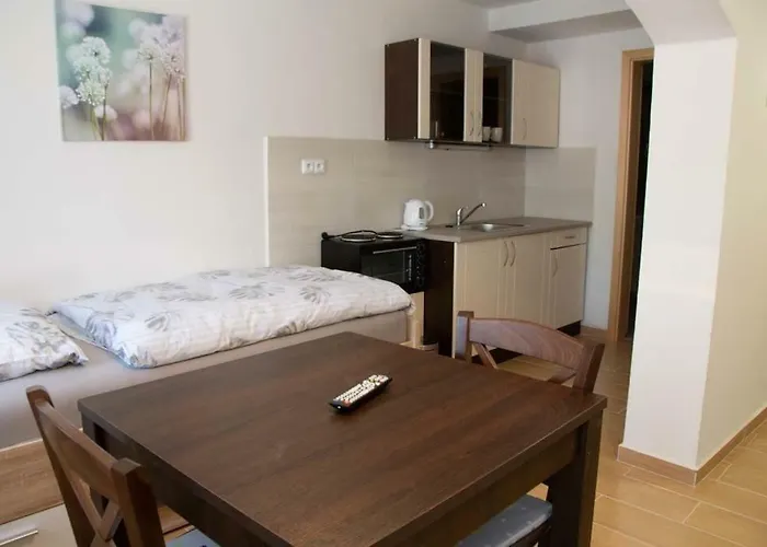 Penzion-apartman Soucek 인드르지후프흐라데츠